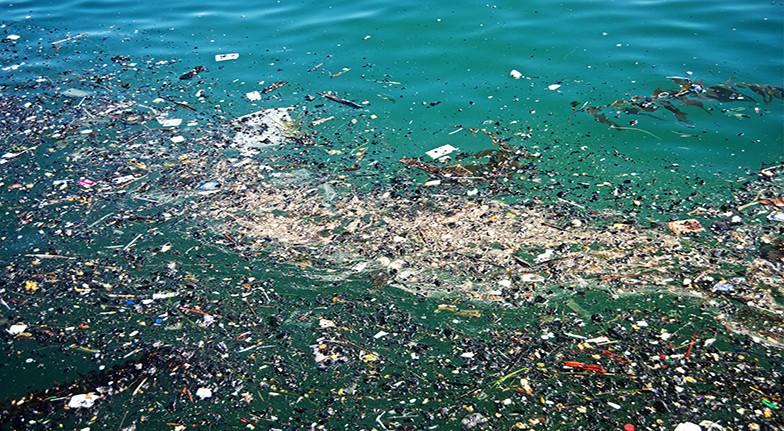 Image result for Great Pacific garbage patch
